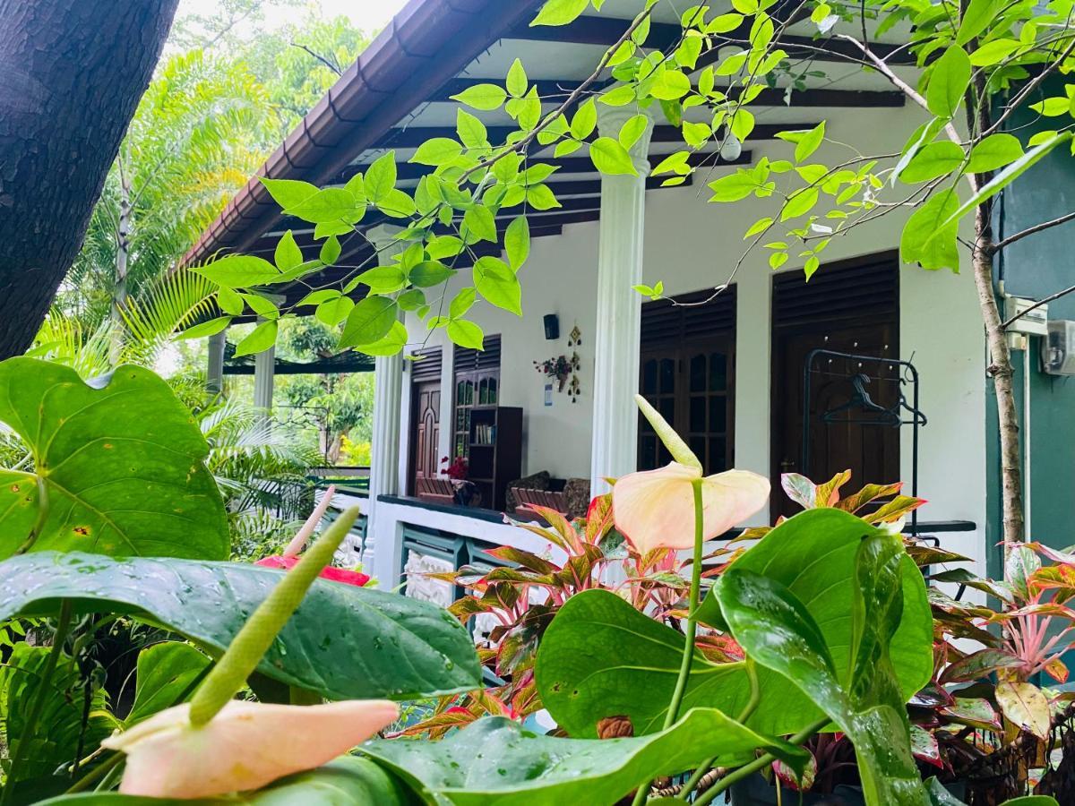 The Jungle Path Lodge Sigiriya Buitenkant foto